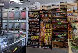 About Reptile Hevans