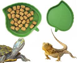 Buy reptile diet & Vitamins