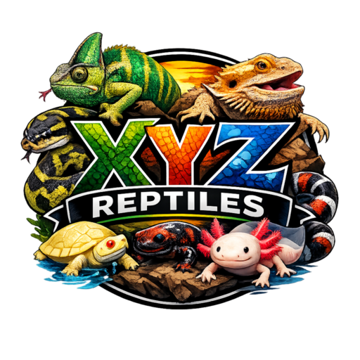 cropped-reptilehevans-logo